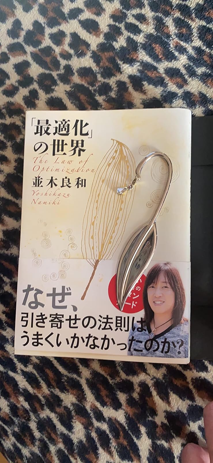 「最適化手法の徹底解説」