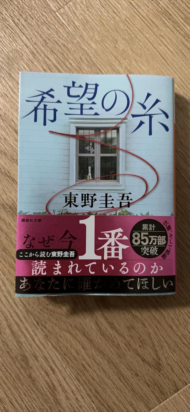 希望の糸 (講談社文庫版)