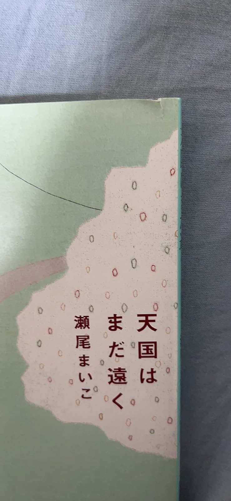 天国はまだ遠く (新潮文庫) - 小説