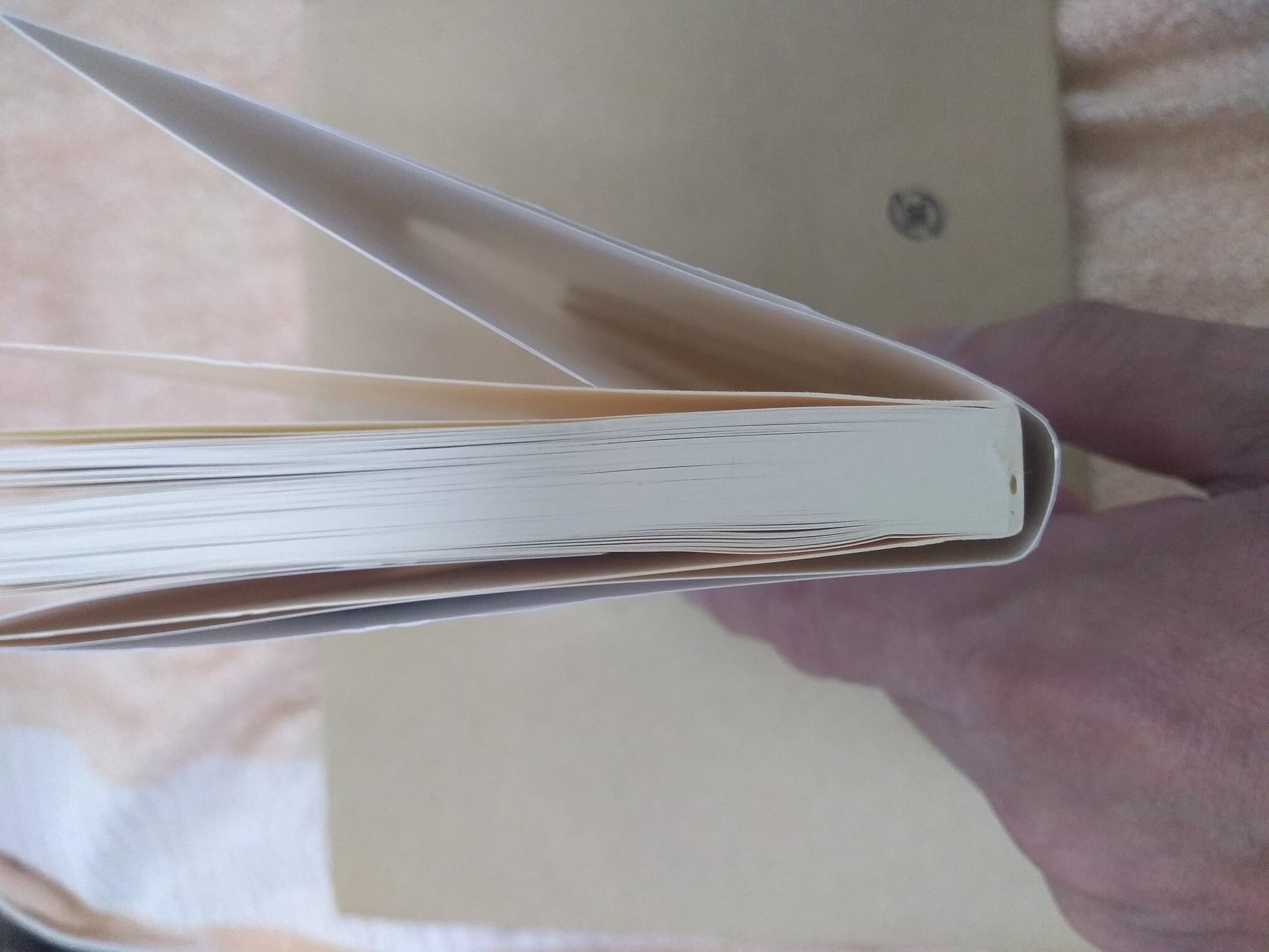 ニュースやSNSを活用した英語読み方ガイド (中公新書 2637)