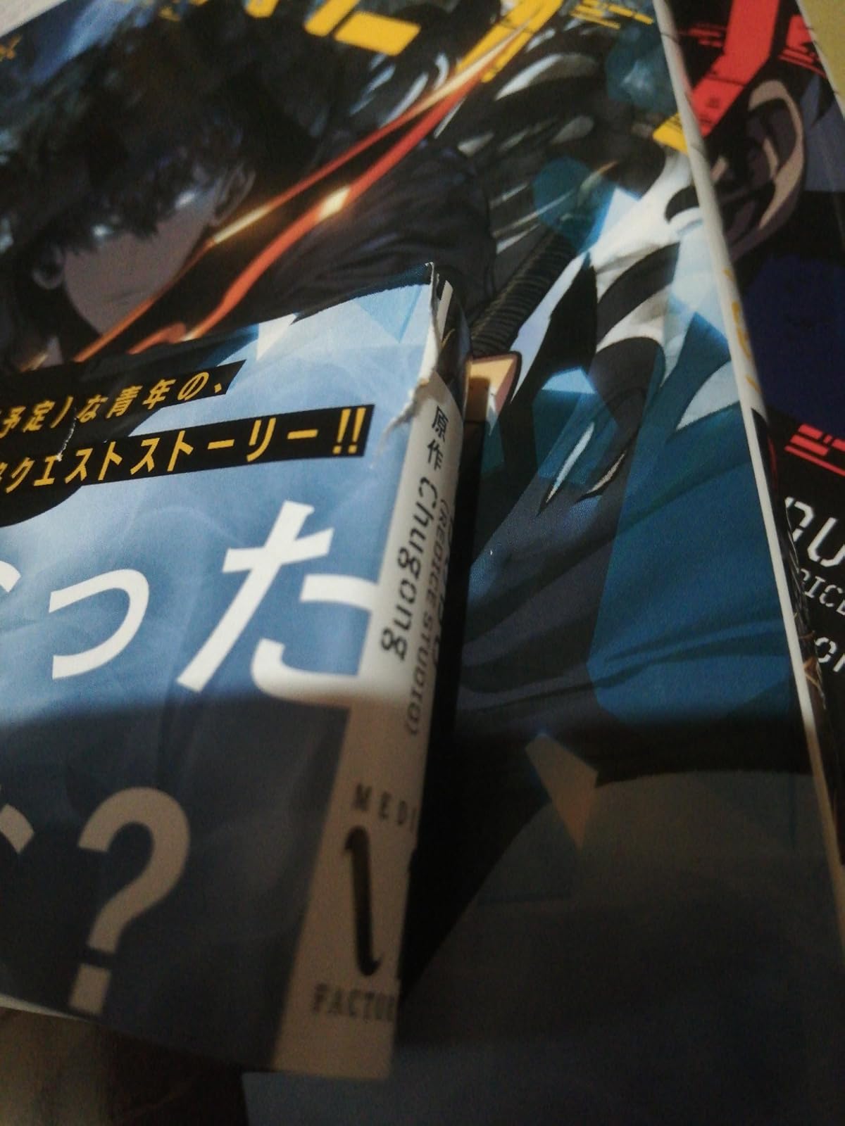 「俺だけレベルアップな件 3」