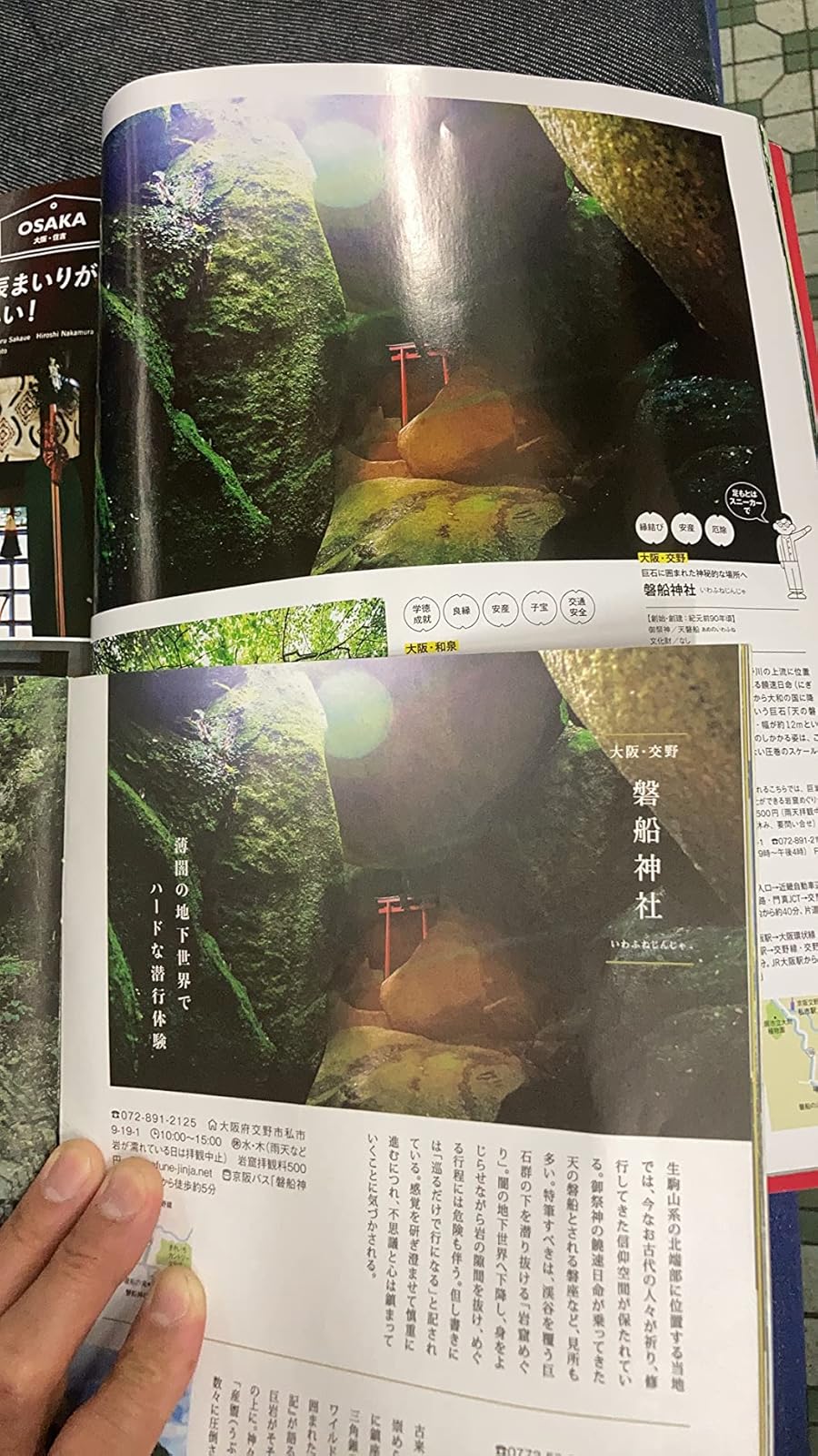関西の神社・寺ガイド (エルマガMOOK)
