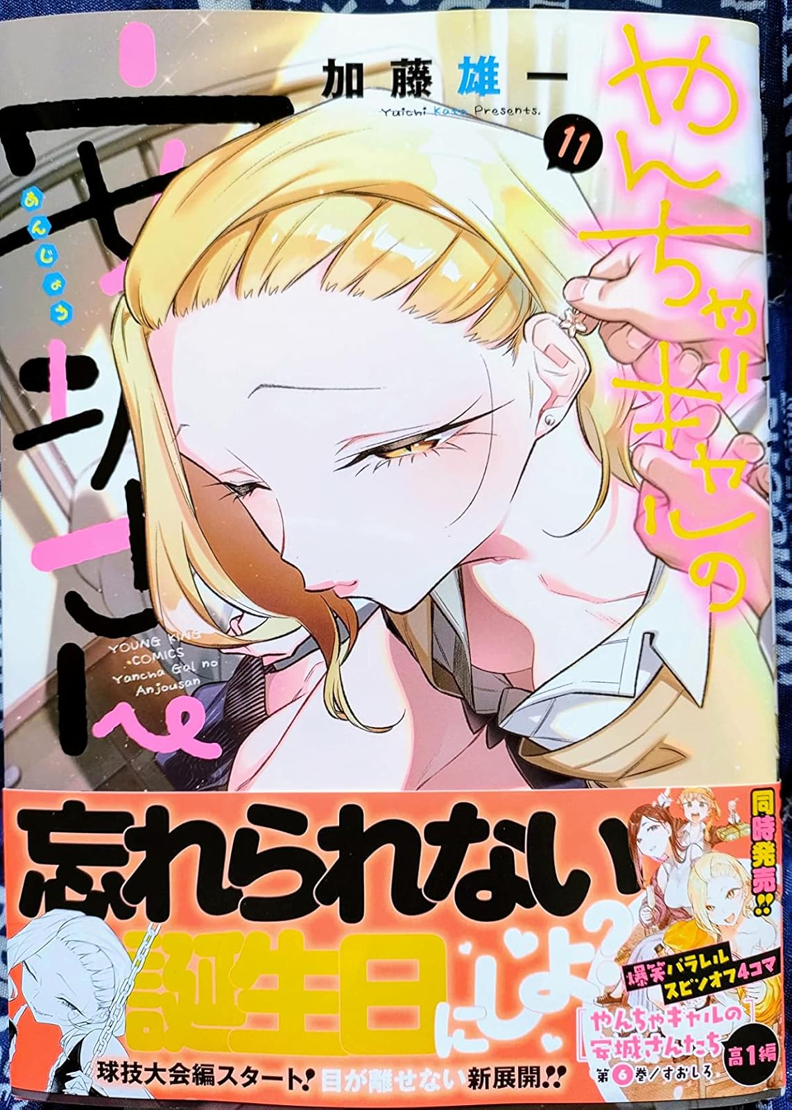 やんちゃギャルの安城さん 11巻 (ヤングキングコミックス)