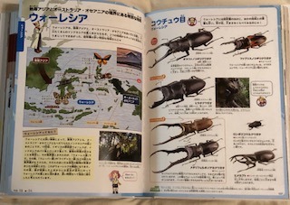 昆虫図鑑 - 角川の集めるシリーズ