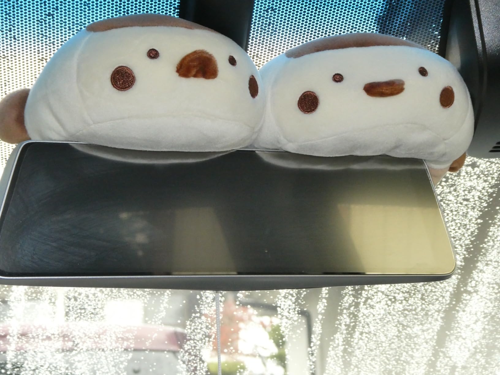 すみっコぐらし とかげ スーパーもーちもちぬいぐるみ