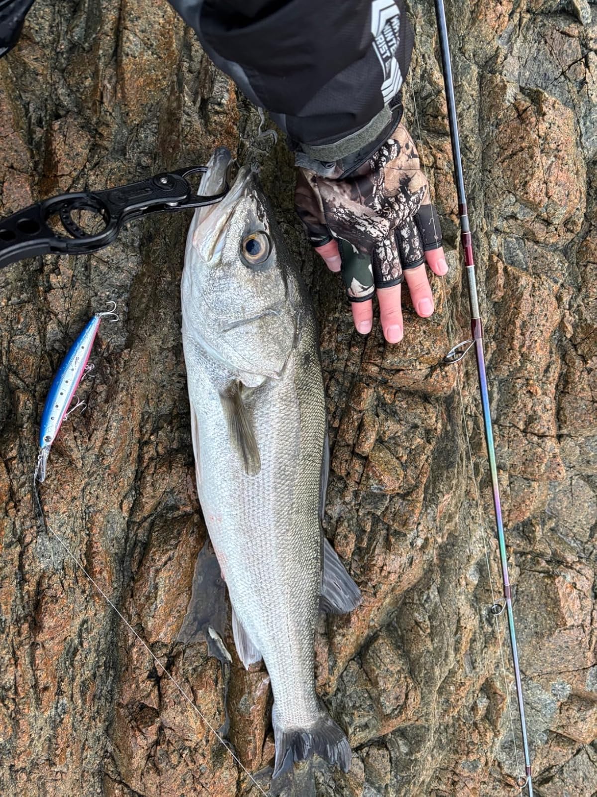 ウォーターランド スーパースナップ