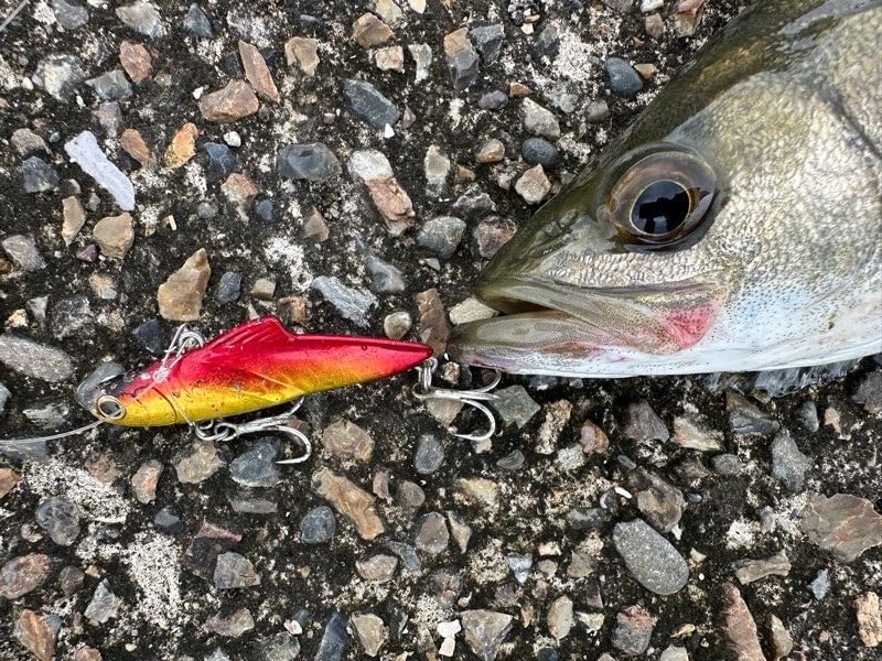 シーバス釣り用ソルトプラグ エクスセンス サルベージソリッド 60ES/70ES/85ES/100ES