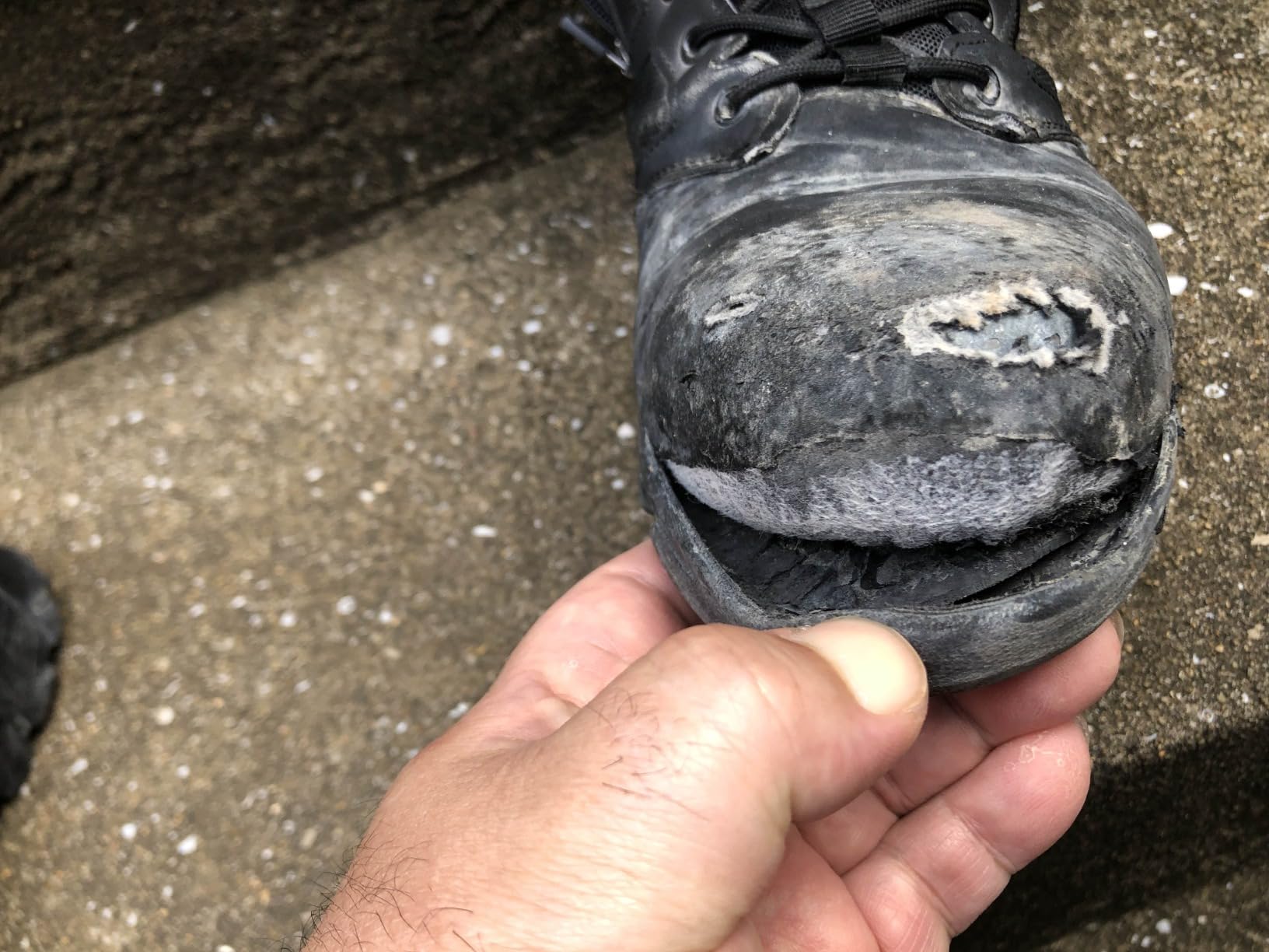 プロスニーカー 長編上 JSAA規格 防護靴 シモン