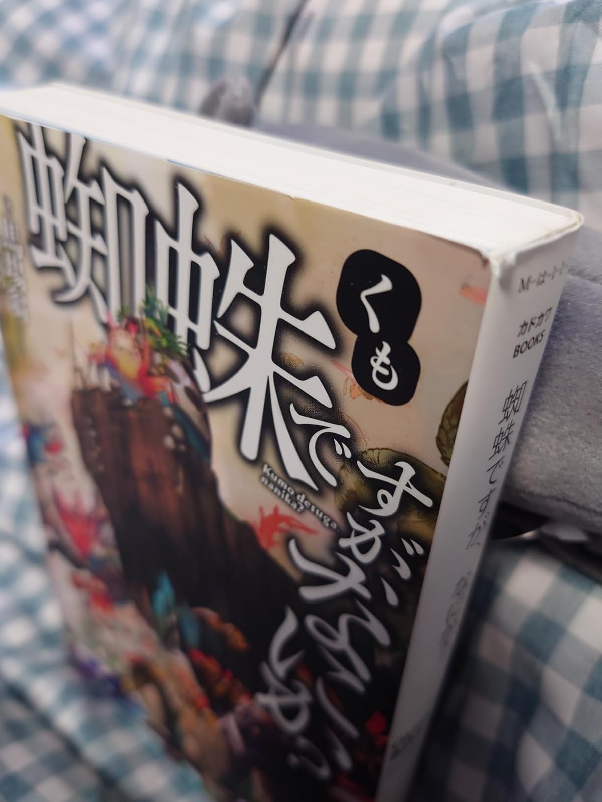 蜘蛛ですが、なにか？ (カドカワBOOKS)