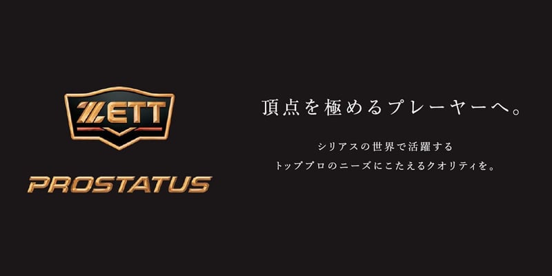 プロステイタス 野球グラブ メンテナンス用品 ZETT