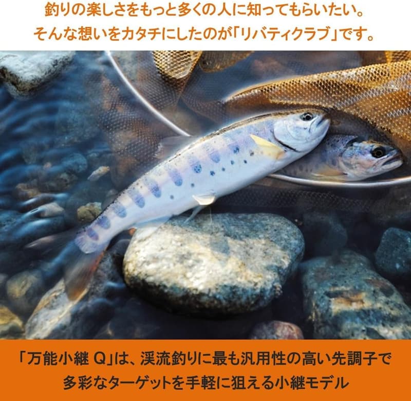 万能小継スピニングロッド - DAIWA リバティクラブ LBT Cシリーズ