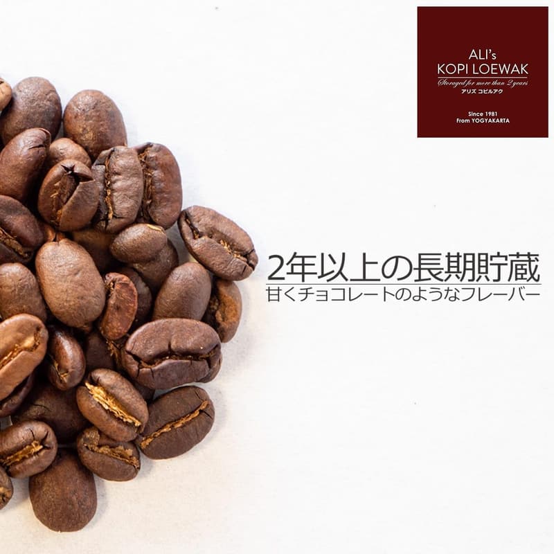 高級 焙煎コーヒー豆 コピルアック 100g インドネシア産