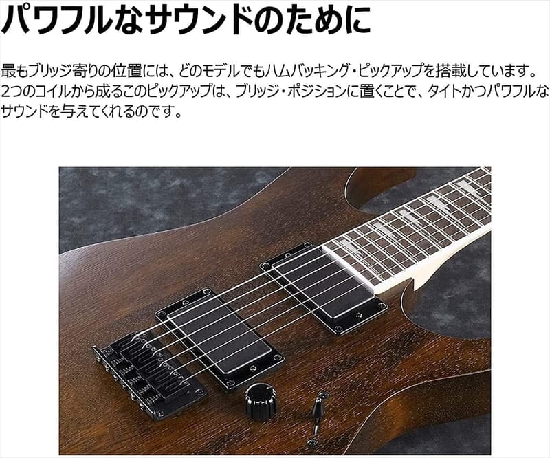 初心者向けエレキギター GRG121DX-BKF (ブラック・フラット)