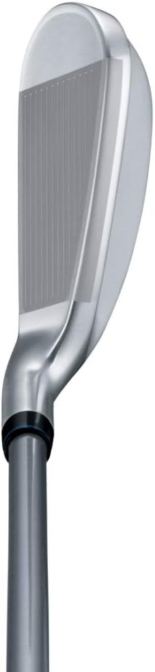 2021年モデル ダンロップ ゼクシオ クロス アイアン メンズ右利き カーボンシャフト/N.S.PRO 860GH DST