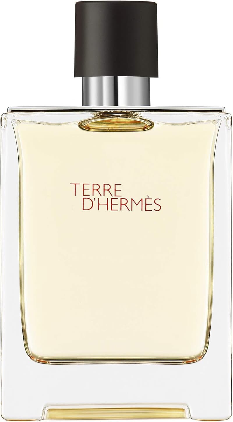 エルメス テールドエルメス プールオム EDT 100mL メンズ香水