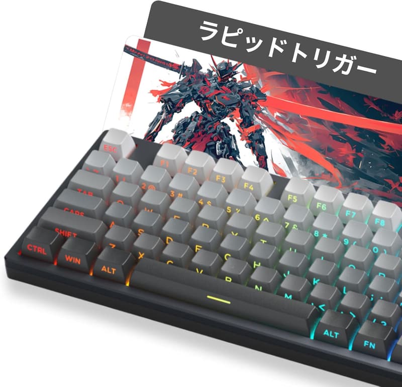 ゲーミングキーボード RGB 有線 USB メカニカル (Captain87) CNCアルミフレーム コンパクト グレー