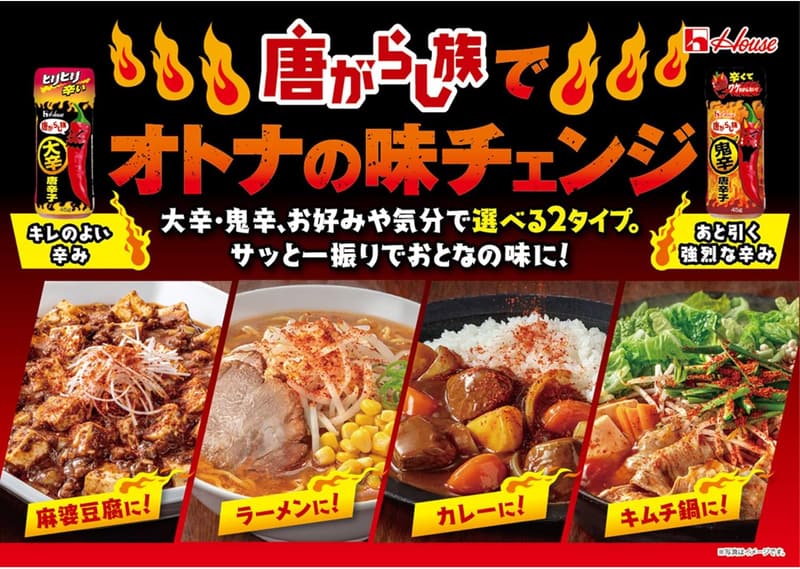 大辛唐辛子 45g×2個 パック - ハウス 唐がらし族