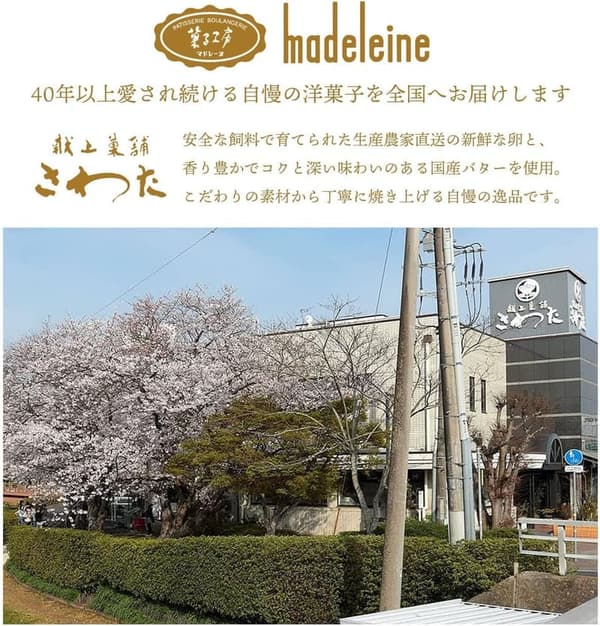 明治神宮献上銘菓「焼菓子マドレーヌ30個セット」ギフト用贈答品