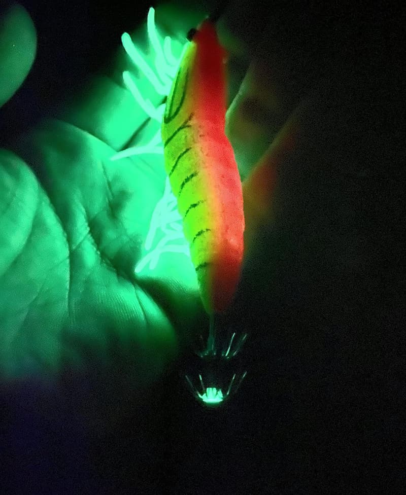 夜光エギセット【イカ釣り・タコ釣り用】【強波動・リアル餌木・ケース付】