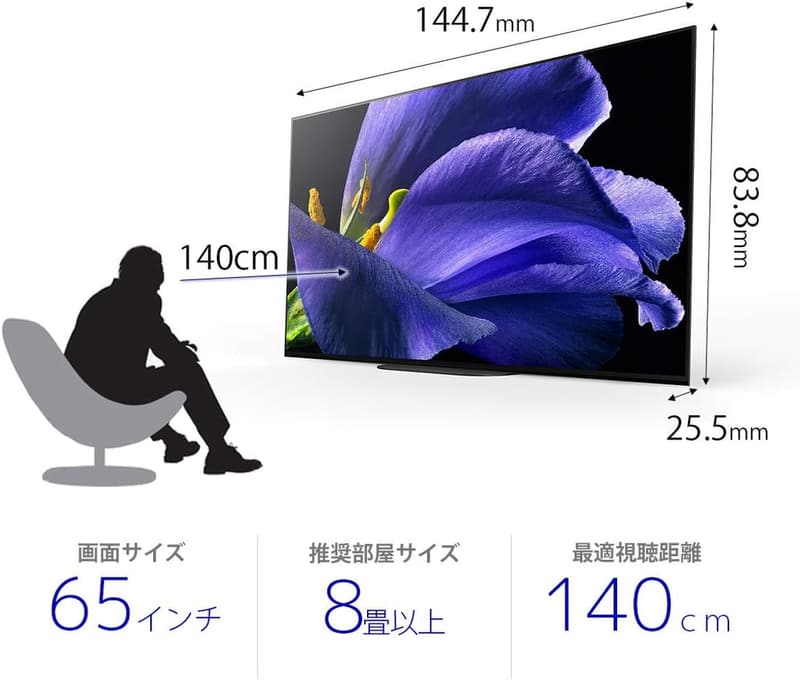 65V型 有機ELテレビ ブラビア KJ-65A9G 4Kチューナー内蔵 Android TV Alexa対応 2019年モデル