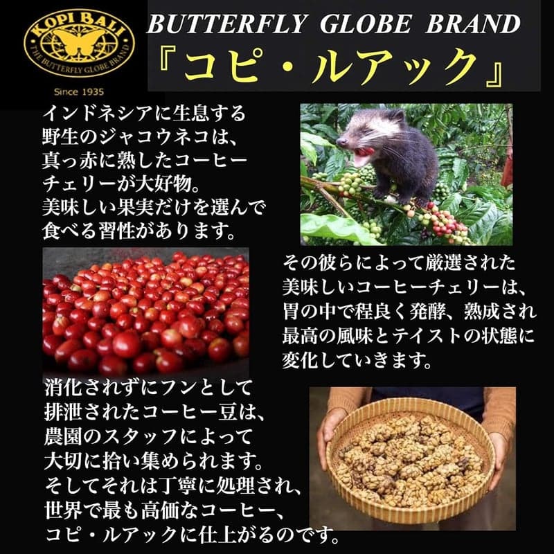 コピ・ルアク ジャコウネココーヒー 50g 木樽焙煎豆