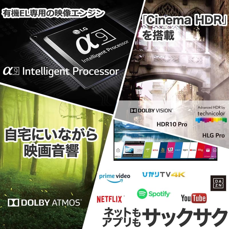 有機ELテレビ LG 55V型 4Kモデル OLED55C8PJA ドルビービジョン・ドルビーアトモス対応