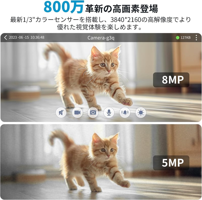 【ペット見守りカメラ】800万画素・5G対応・自動追跡・双方向通話・赤外線暗視・留守番カメラ