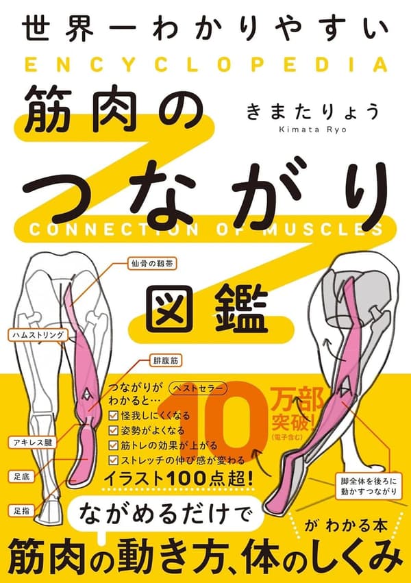 筋肉のつながりがわかる図鑑