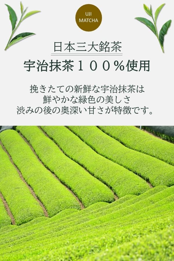国産宇治抹茶100% 挽きたて粉末 100g 【無添加】 抹茶ラテ・製菓用