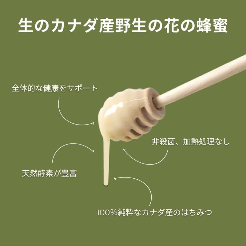 カナダ産北方樹林のワイルドフラワー生はちみつ 3kg