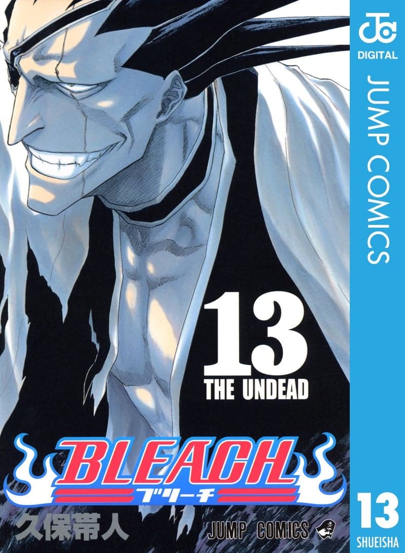 BLEACH モノクロ版 13 (ジャンプコミックス)