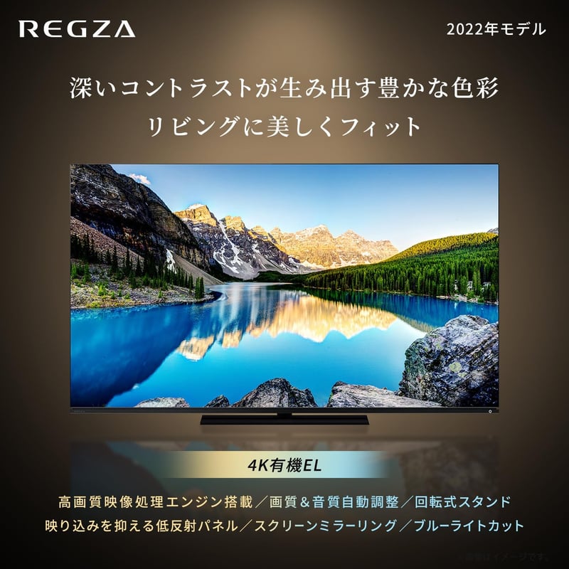 REGZA 48インチ 4K 有機ELテレビ 48X8900L 外付けHDD対応 2番組同時録画