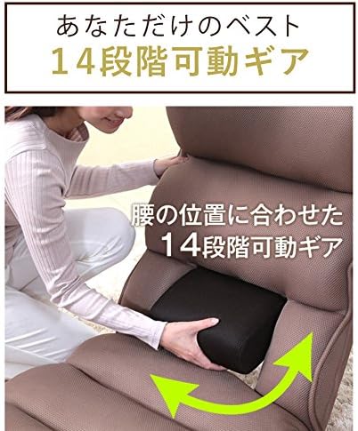 リクライニング座椅子 腰の神様のフォルム ブルー 14段階調整 DMZ-アロー