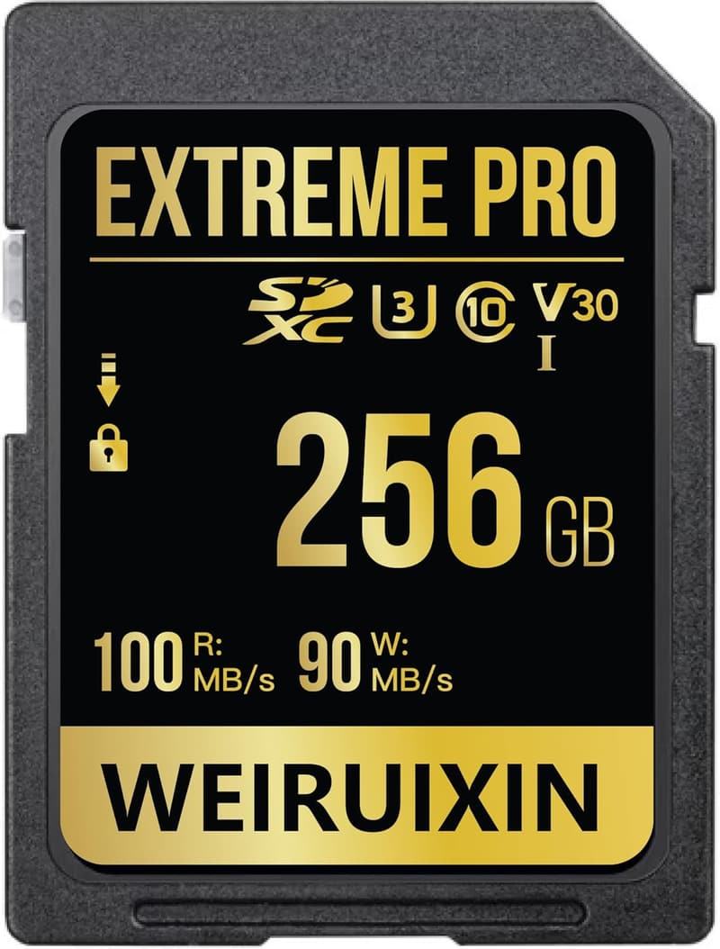 256GB SDカード 4K動画対応 高速転送100MB/s 耐温度・防水・耐磁・静電耐性 日本国内10年保証