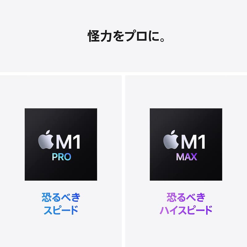 Apple M1 Proチップ搭載 14インチMacBook Pro (16GB RAM、1TB SSD) - シルバー