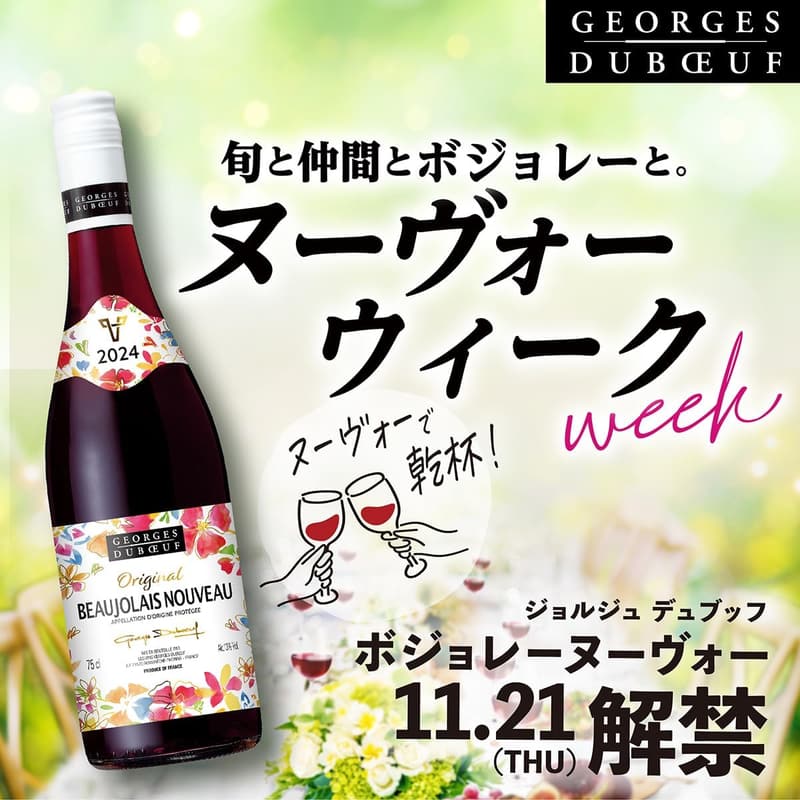 ボジョレー ヌーヴォー 2024 フレッシュ&フルーティー 赤ワイン 750ml