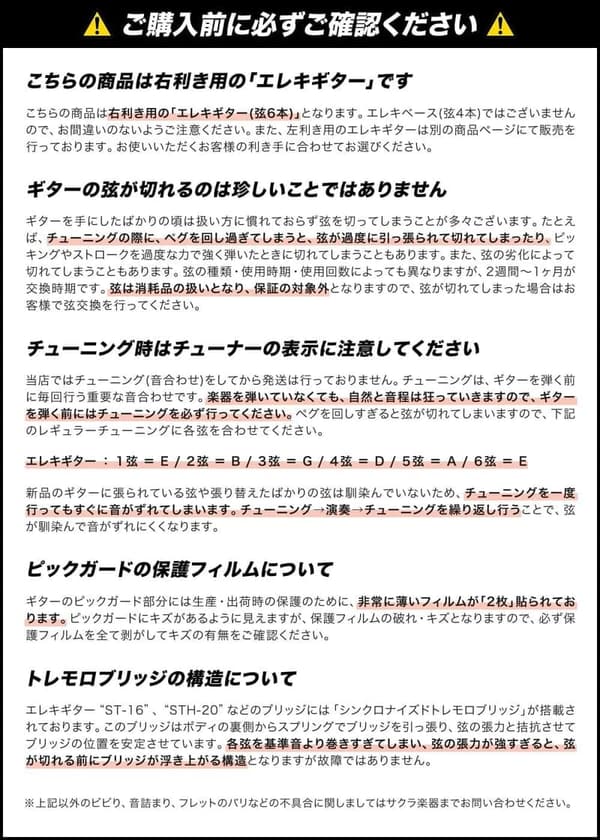初心者向け ストラトキャスタータイプ エレキギター 13点セット（SELDER STC-04/BB）