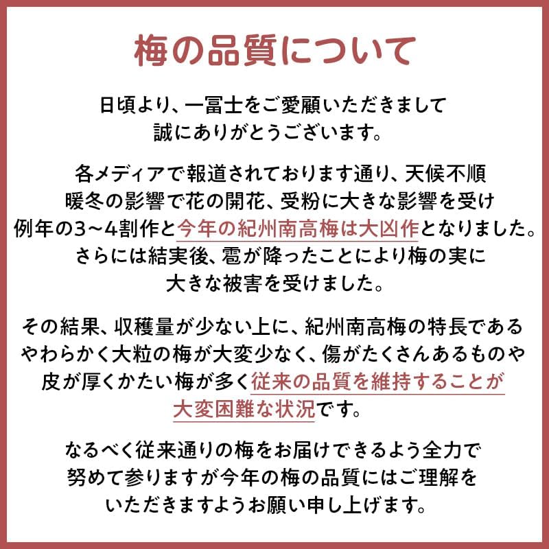 紀州南高梅 減塩つぶれ梅 はちみつ仕立て (約3％塩分) 1kg 大粒 国産 和歌山産