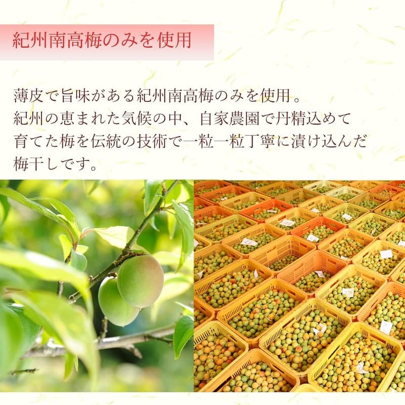 紀州南高梅 大粒しそ漬けつぶれ梅 塩分8％ 1kg