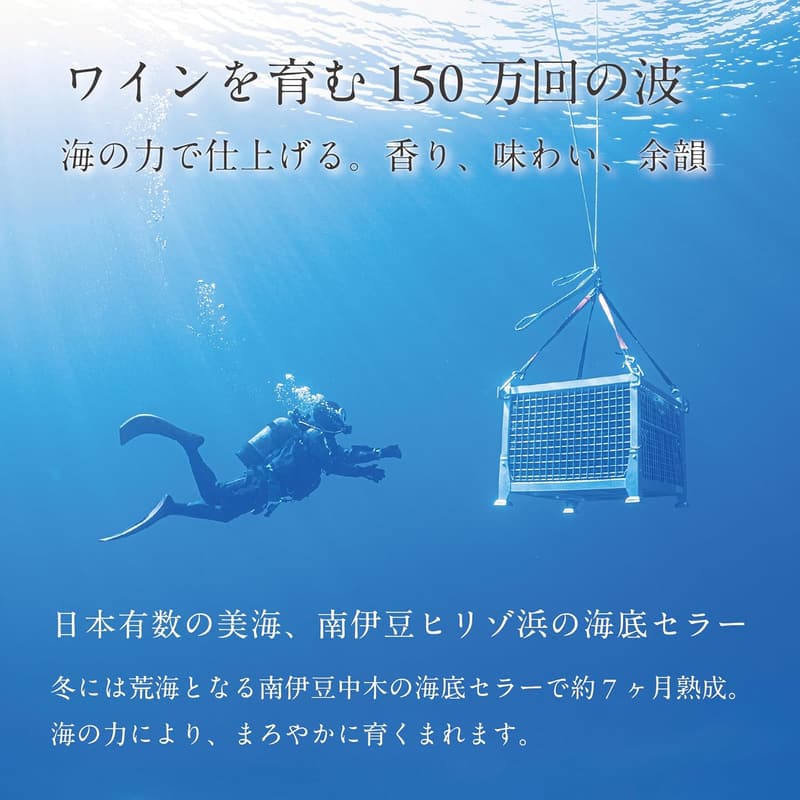 2020年 IWC銀賞受賞 南アフリカ産 シラー 赤ワイン ギフトボックスセット 750ml