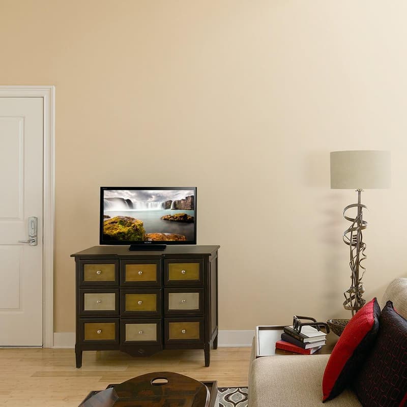 ソニー 24V型 ハイビジョン液晶テレビ ブラビア HDD録画対応 KJ-24W450E
