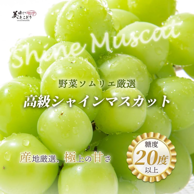 高級シャインマスカット（約1100g～1300g）糖度20度超、旬の厳選品