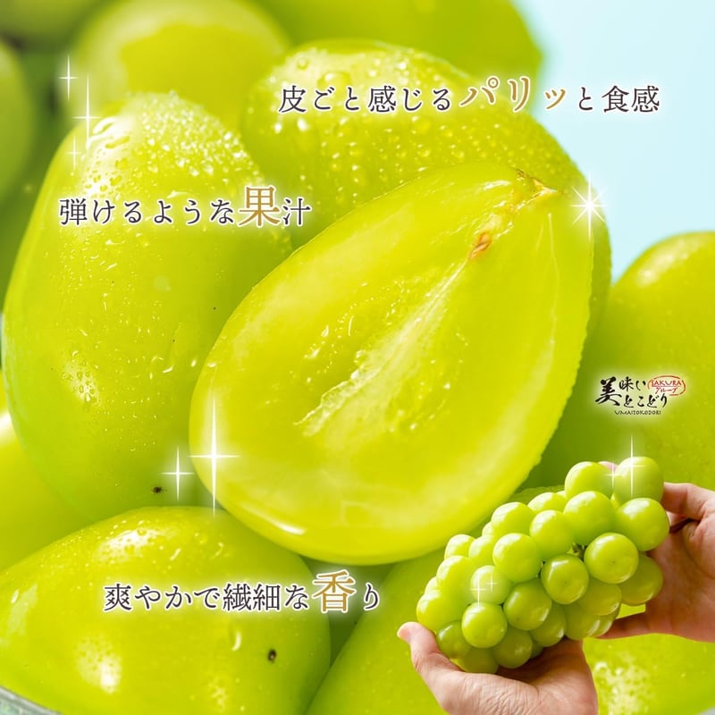 高級シャインマスカット（約1100g～1300g）糖度20度超、旬の厳選品