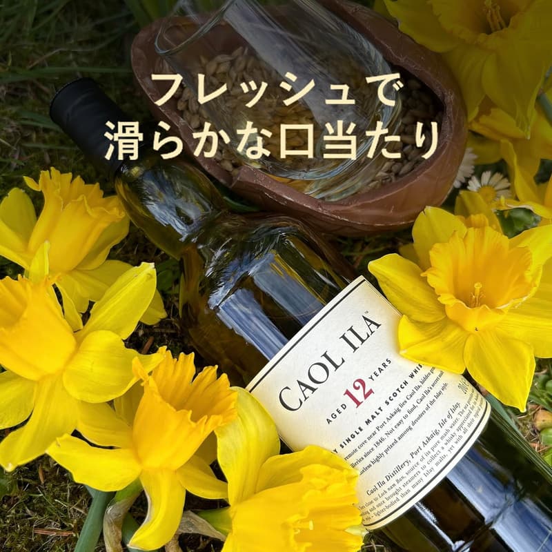 カリラ 12年 箱入り シングルモルトスコッチウイスキー 700ml