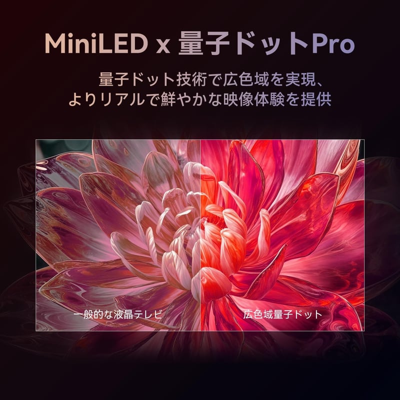 65V型 4K倍速スマートテレビ Mini LED量子ドット HDR10対応 Dolby Vision Dolby Atmos 2025年モデル
