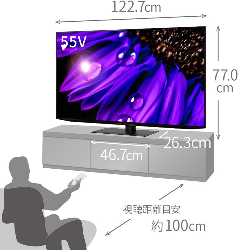 シャープ 55V型 有機EL 4Kテレビ AQUOS OLED 4T-C55EQ1 Google TV内蔵