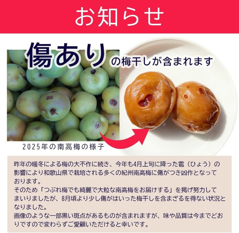 完熟南高梅（しその風味・塩分10%）高級つぶれ梅 800g（400g×2個）