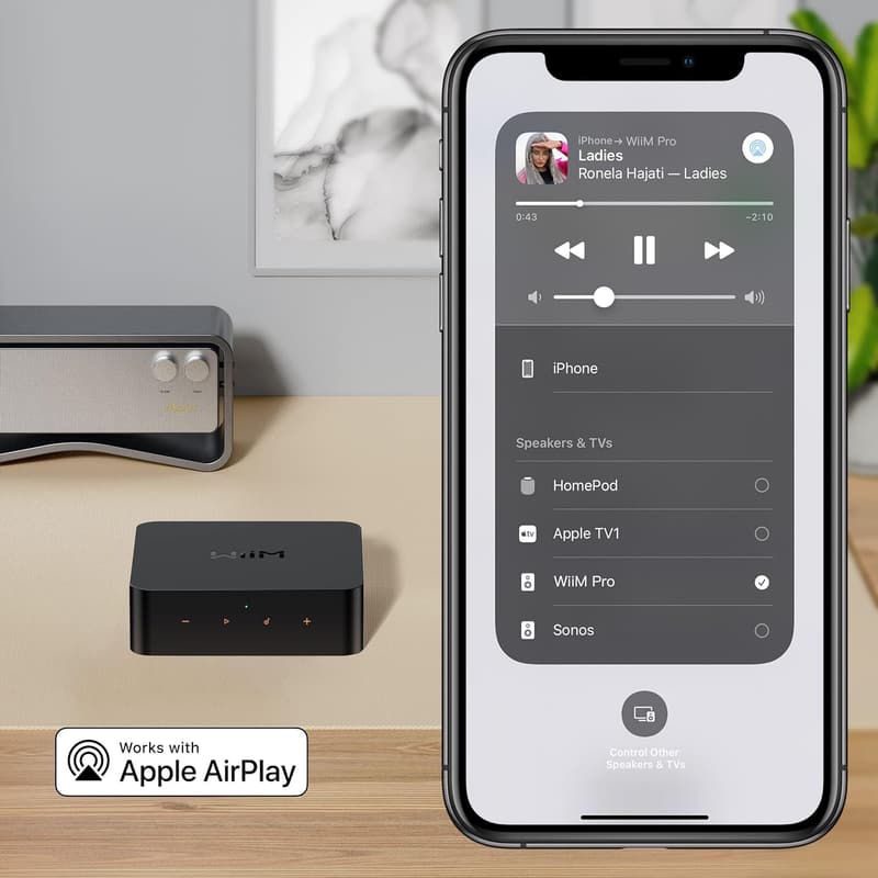 WiFiマルチルームストリーマー WiiM Pro AirPlay 2レシーバー ハイレゾ音源対応