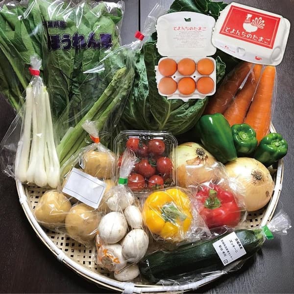 茨城・千葉県産 農家直送 野菜セット 10品目とたまご6個 夏季クール便対応