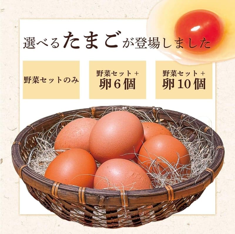 茨城・千葉県産 農家直送 野菜セット 10品目とたまご6個 夏季クール便対応